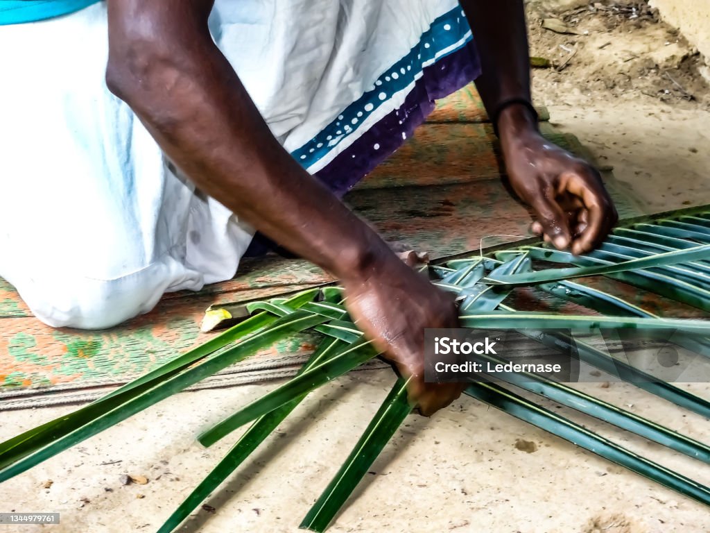 Weave Object A Woman Weaves Objects From Palm Leaves Stock Photo - Download Image ...