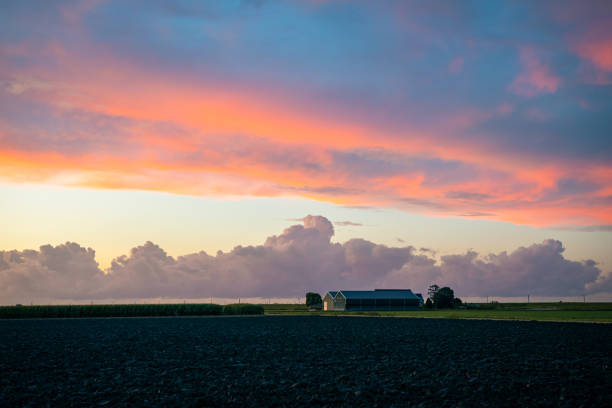Evening sky over a farm in plain countryside in western part of The Netherlands.