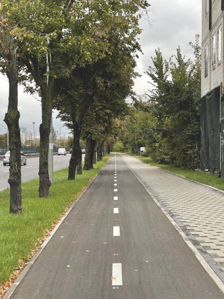 istock Cycle lane in the city 1344982039