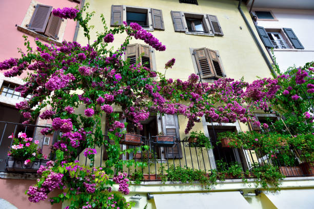 istock limone sul garda italy 1344983230