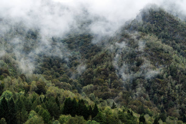 Rainy autumn day on the European Alps