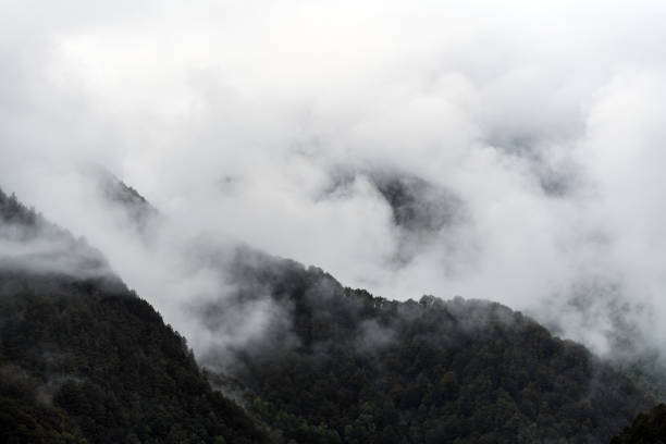 Rainy autumn day on the European Alps
