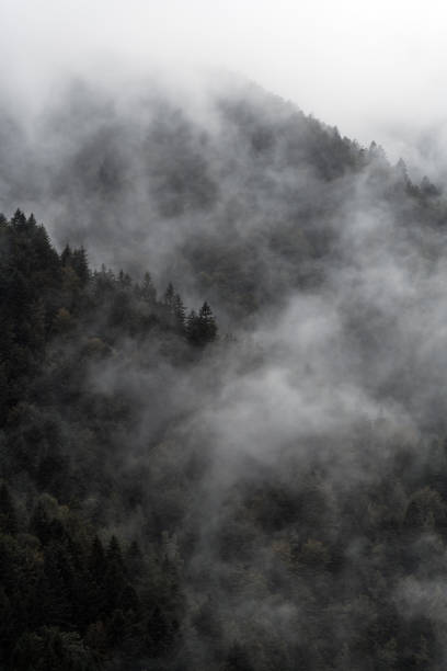 istock Rainy autumn day on the European Alps 1344984521