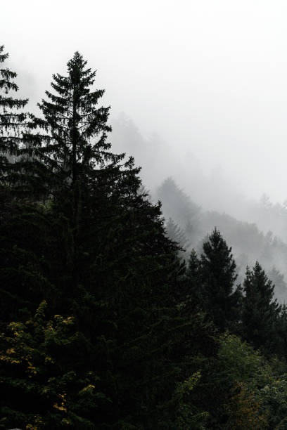istock Rainy autumn day on the European Alps 1344984652