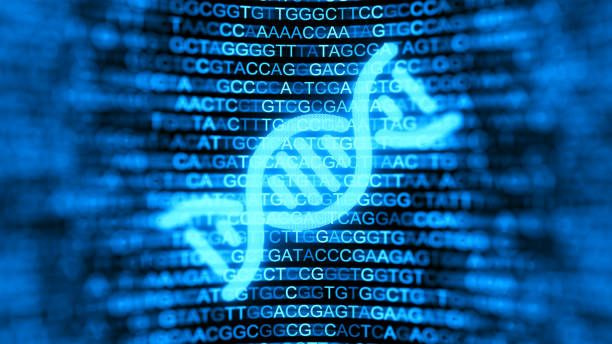 Digital screen with DNA strands and data background. Double helix structure. Nucleic acid sequence. Genetic research. 3d illustration. Digital screen with DNA strands and data background. Double helix structure. Nucleic acid sequence. Genetic research. 3d illustration. genomics stock pictures, royalty-free photos & images