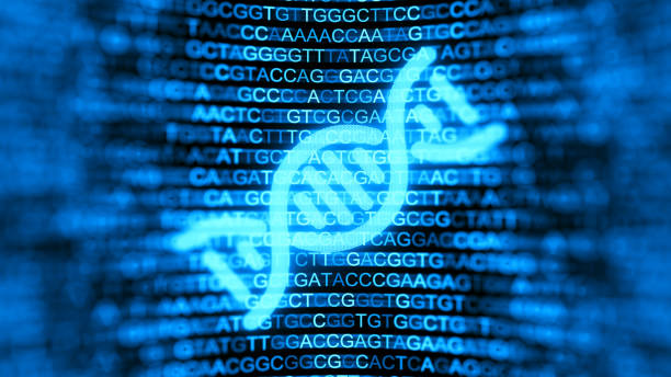 tela digital com fios de dna e fundo de dados. estrutura de hélice dupla. sequência de ácido nucleico. pesquisa genética. ilustração 3d. - cytosine - fotografias e filmes do acervo