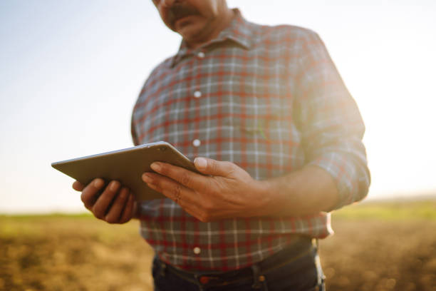 istock Farmer uses a specialized app on a digital tablet for checking wheat  while standing at cereal field. 1344986127