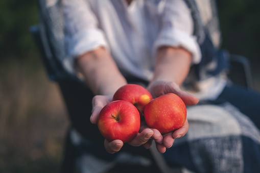 Female hands holding pretty red apples in her hands, close-up shot