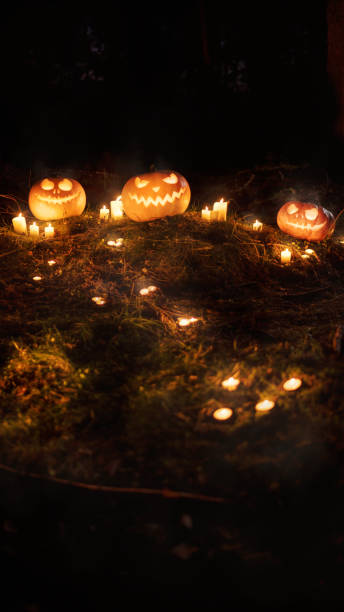 istock Vertical Halloween background with burning candles and glowing jack-o-lantern pumpkins on grass in night forest. Spooky traditional holiday symbols in distance. Copy space for text 1344987501