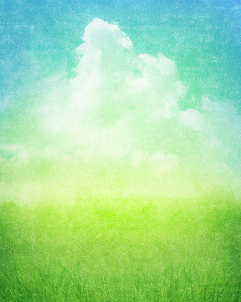 Paisaje nuboso con campo de hierba - Paisaje natural abstracto - foto de stock