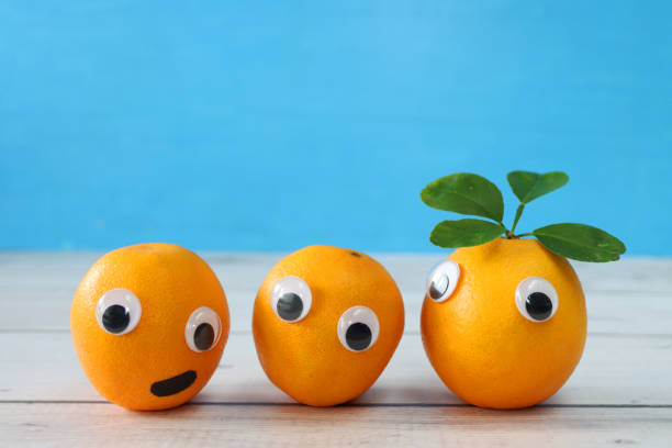 Image of row of fresh, ripe, unwaxed oranges with googly eyed cartoon faces, green leaves, blue background, children healthy eating, humorous concept stock photo