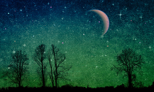 Starry Night Sky with Crescent Moon and Tree Silhouettes - copy space. - Atmospheric Mood.   Elements of this image furnished by NASA. Source:  Contrasting Crescents - https://www.nasa.gov/sites/default/files/thumbnails/image/pia21904-1041.jpg