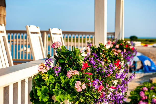 Colorful hanging baskets in the garden are filled with pretty petunias.
