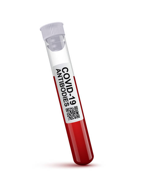 Coronavirus antibody rapid blood test, 3d blood sample in tube for diagnostic coronavirus Coronavirus antibody rapid blood test vector illustration. 3d realistic blood sample in glass tube with Covid-19 antibodies text and QR code for diagnostic corona virus disease isolated on white antibody test stock illustrations