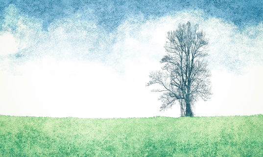 Lone Silhouette Tree Landscape with Copy Space - Grunge Image Technique - Textured Effect