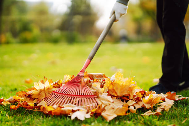 râteau avec des feuilles mortes dans le parc. le concierge nettoie les feuilles en automne. - râteau photos et images de collection