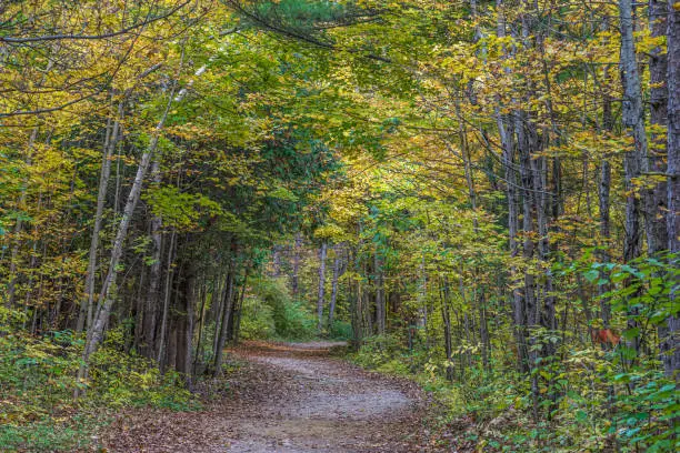 Photo of Park in fall time