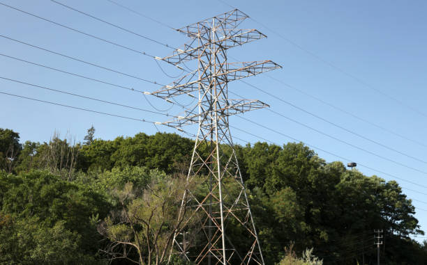 An electricty pylon stands over trees in Toronto, Canada. Clear summer morning.