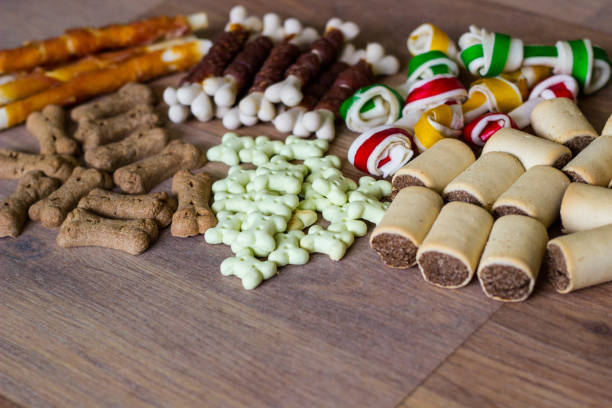 istock Dog Toys and Food 1344997326