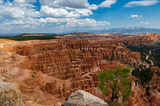 Walking along the rim of the Bryce Ampitheater provides you with multiple different views of the canyon and the Hoo Doos