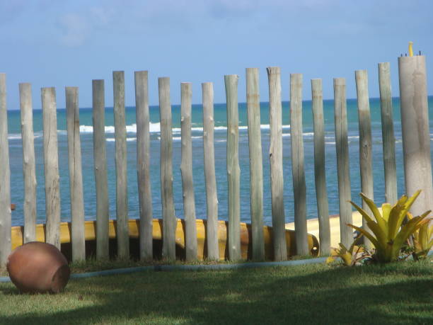 recinzione in legno - baseline foto e immagini stock