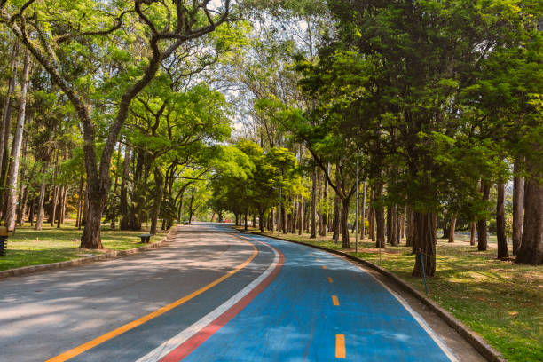 Ibirapuera Park in São Paulo, Brazil. Curve with blue bike path and sidewalk in the green landscape Curve with blue bike path and sidewalk in the green landscape of Ibirapuera Park in São Paulo, Brazil. ibirapuera park stock pictures, royalty-free photos & images