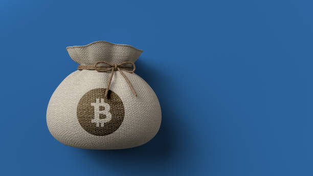 moneybag with a bitcoin symbol - 3d illustration