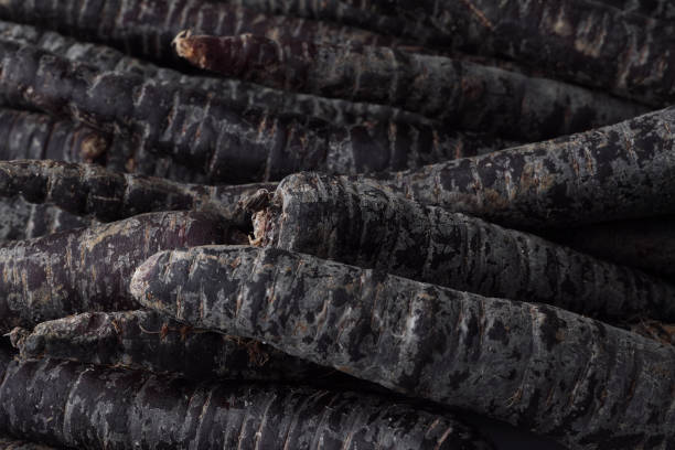 Fresh raw black carrots as background, closeup