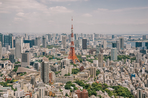High-rise buildings and Tokyo Tower in Tokyo City