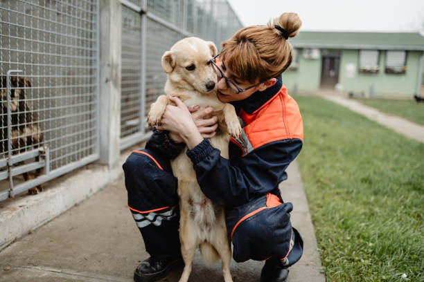 istock Young woman in animal shelter 1345007552