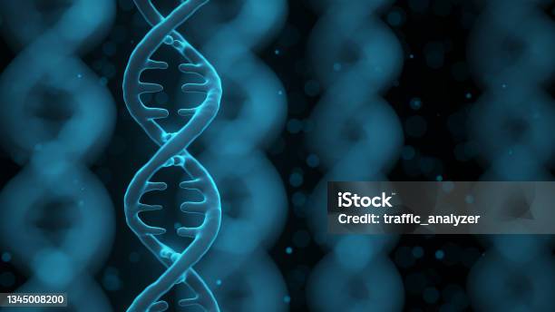 Dna Helix Stock Photo - Download Image Now - DNA, Helix, Abstract