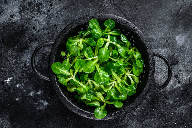 istock Fresh green Corn salad leaves, lambs lettuce in a colander. Black background. Top view 1345010849