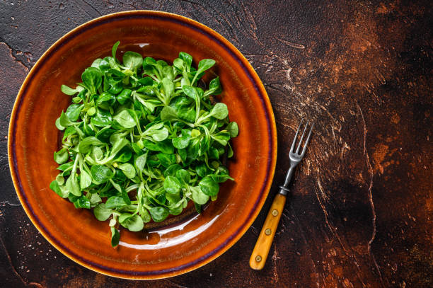 istock Fresh green corn salad leaves on a rustic plate. Dark background. Top view. Copy space 1345010869
