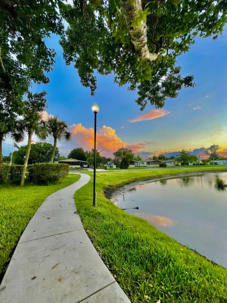 istock Life is full of beauty 1345012202