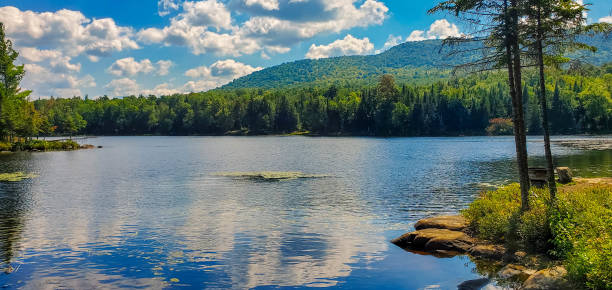 istock Pond in the woods with mountains in background 1345012410