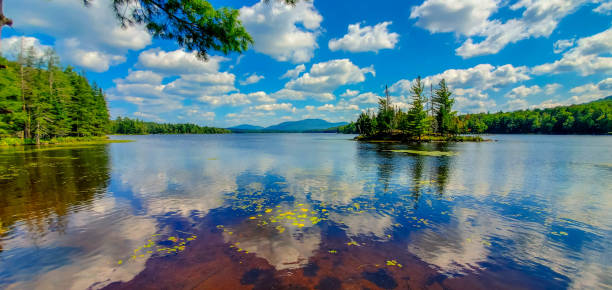 Pond in the woods with mountains in background. Debar View, Duane - New York.