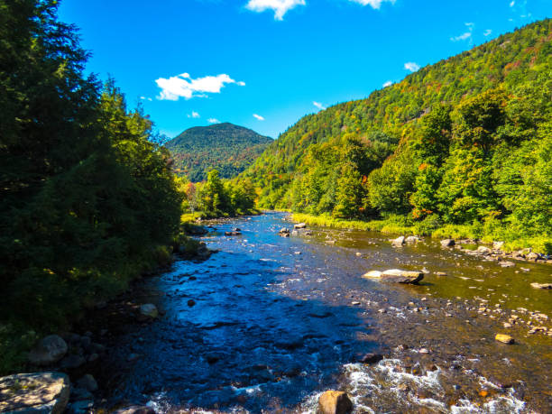 istock River in the woods and mountains in background 1345012836