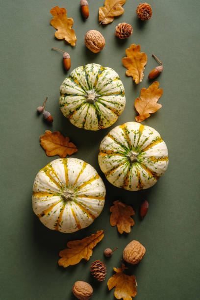 istock Creative layout with pumpkins, dry oak leaves, walnuts, acorns, pine cones on green table. Vintage style. Autumn, fall concept. Flat lay, top view. 1345014977