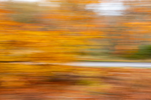 Blurred abstract autumn view of a road in the forest - Panning photo of a countryside road through a wood during fall season - background ready image