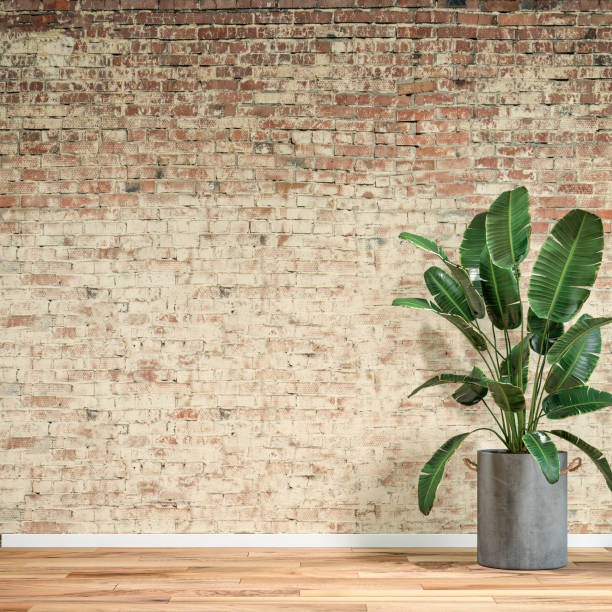 istock Empty unfurnished interior with ruined brick wall background and potted plant 1345018064