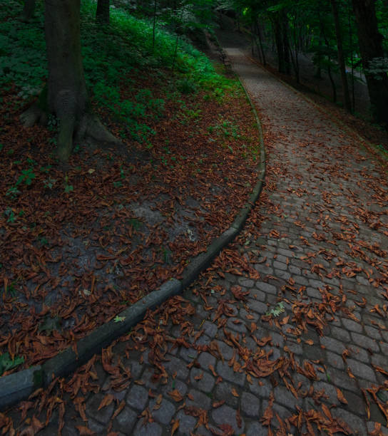 dusk park land pavement trail in October environment with brown and orange falling leaves, quadratic format of photography