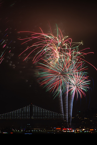 An image of fireworks launched from Fisherman's Wharf in San Francisco, Califonia on the 4th of July.