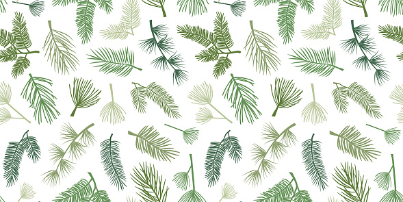 Winter pine and spruce vector seamless pattern, evergreen plant, tree and fir branch, cedar twig background, Christmas and New Year decoration, nature print. Holiday