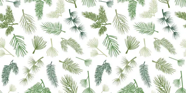 Vector illustration of Winter pine and spruce vector seamless pattern, evergreen plant, tree and fir branch, cedar twig background, Christmas and New Year decoration, nature print. Holiday