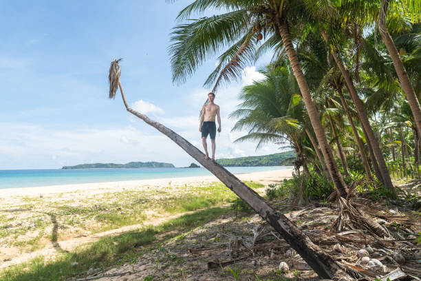 istock Millennial age man posing on palm tree at remote tropical beach 1345030626