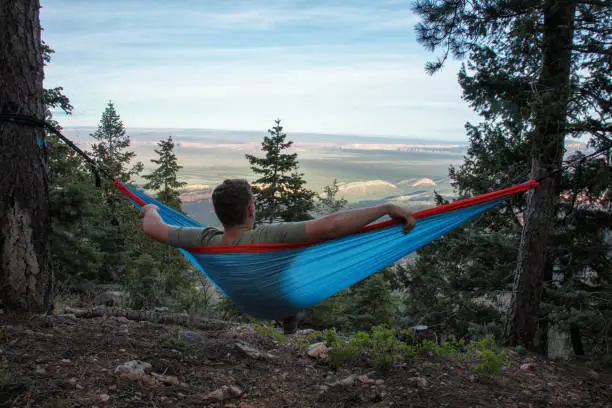 view from behind a man with sunglasses sitting in cloth hammock attached to two pine trees while looking out over sunlit valley floor of the Grand Canyon, Arizona