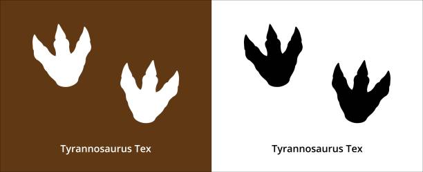 tyrannosaurus rex fußabdruck. t-rex fußabdruck symbol. dinosaurier t-rex fußabdruck stempelvorlage. vektor-stock-illustration - fußabdruck stock-grafiken, -clipart, -cartoons und -symbole