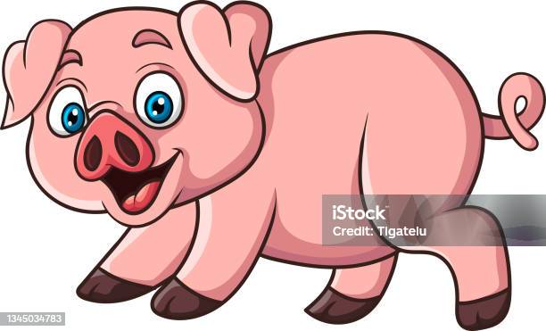 Ilustración de Cerdo Divertido De Dibujos Animados Sobre Fondo Blanco y más  Vectores Libres de Derechos de Carne de cerdo - iStock