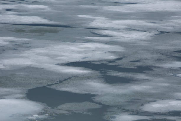 istock Ice melting on frozen lake 1345037353
