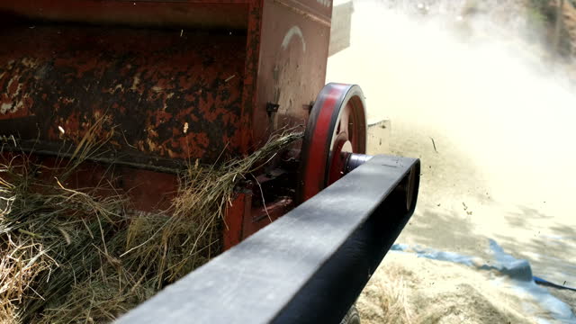 Historic threshing machine working